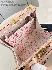Colestore Louis Vuitton Travels With Grace Coddington Petite Valise Meowgram 22.5 x 17.5 x 11 cm - 6