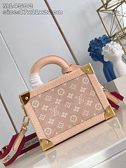 Colestore Louis Vuitton Travels With Grace Coddington Petite Valise Meowgram 22.5 x 17.5 x 11 cm - 4