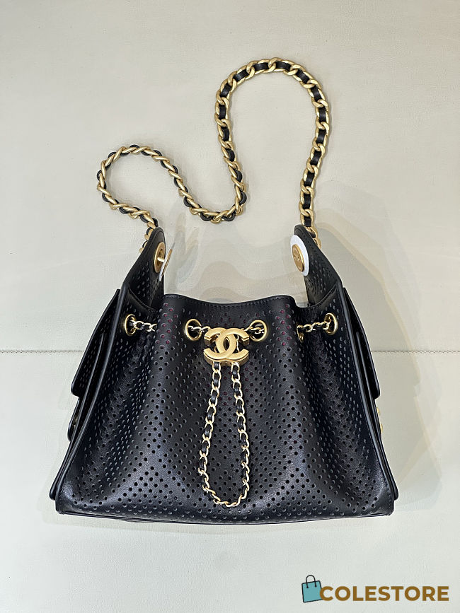 Colestore Chanel 25 Mini Handbag   Perforated Calfskin & Gold-Tone Metal  Black  20 x 22 x 12.5cm - 1