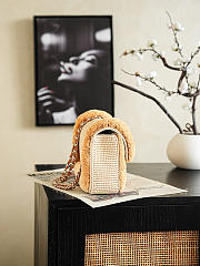 Colestore Chanel Coco Beach 2026 collection   Flap Bag   Braided Raffia & Gold-Tone Metal  Beige  16.5 x 25 x 6.5cm - 3