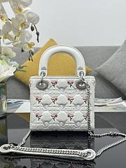 Colestore Dior Dioramour Mini Lady Dior Bag with Chain White Cannage Lambskin Embroidered with Multicolor Doves & Roses Motif  18 x 15 x 7 cm - 5