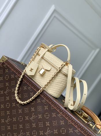 Colestore Louis Vuitton Vanity Chain Pouch Banana 19 x 11.5 x 6.5 cm