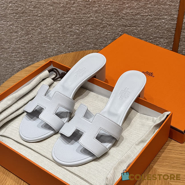 Colestore Hermes Oasis sandal Blue Chacier - 1