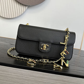Colestore  Chanel Métiers d'Art 2026 Flap bag & Gold-Tone Metal Black 12x22x4cm