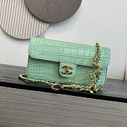 Colestore Chanel Métiers d'Art 2026 Flap bag & Gold-Tone Metal Green Croc Embossed  12x22x4cm - 1