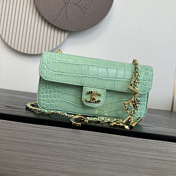 Colestore Chanel Métiers d'Art 2026 Flap bag & Gold-Tone Metal Green Croc Embossed  12x22x4cm