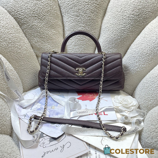 Colestore Chanel Maxi Flap Bag with Top Handle   Goatskin & Gold-Tone Metal  Dark Brown  12.5 x 31 x 7cm - 1