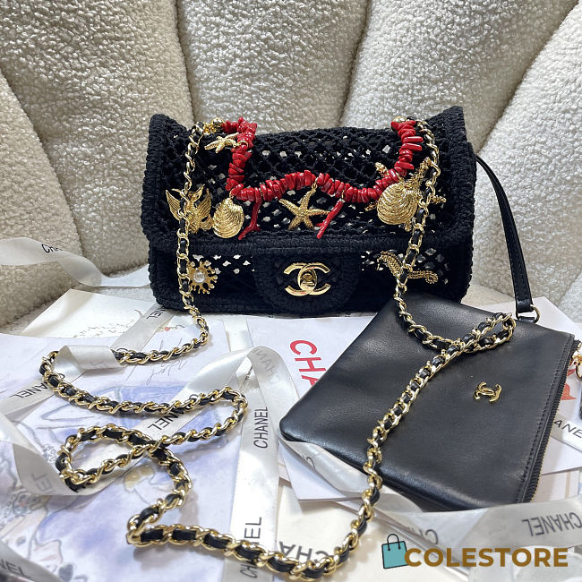 Colestore Chanel Coco Beach 2026 collection   Small Flap Bag   Mesh, Charms & Gold-Tone Metal  Black  14 x 21 x 6cm - 1