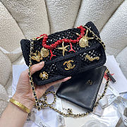 Colestore Chanel Coco Beach 2026 collection   Small Flap Bag   Mesh, Charms & Gold-Tone Metal  Black  14 x 21 x 6cm - 6