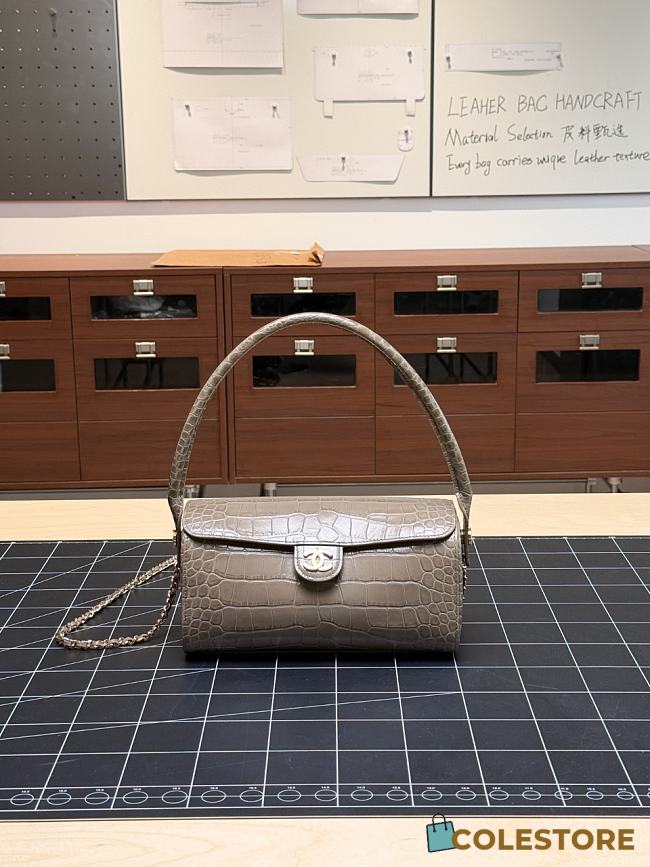 Colestore Chanel Métiers d’art 2026   Clutch with chain   Crocodile Embossed Calfskin & Gold-Tone Metal  Dark Khaki  11 x 23 x 12.5cm - 1
