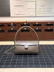 Colestore Chanel Métiers d’art 2026   Clutch with chain   Crocodile Embossed Calfskin & Gold-Tone Metal  Dark Khaki  11 x 23 x 12.5cm - 1