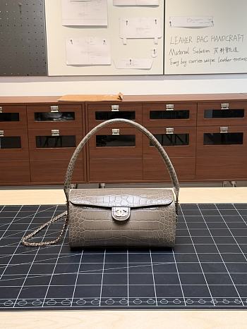 Colestore Chanel Métiers d’art 2026   Clutch with chain   Crocodile Embossed Calfskin & Gold-Tone Metal  Dark Khaki  11 x 23 x 12.5cm