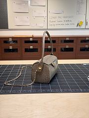 Colestore Chanel Métiers d’art 2026   Clutch with chain   Crocodile Embossed Calfskin & Gold-Tone Metal  Dark Khaki  11 x 23 x 12.5cm - 6