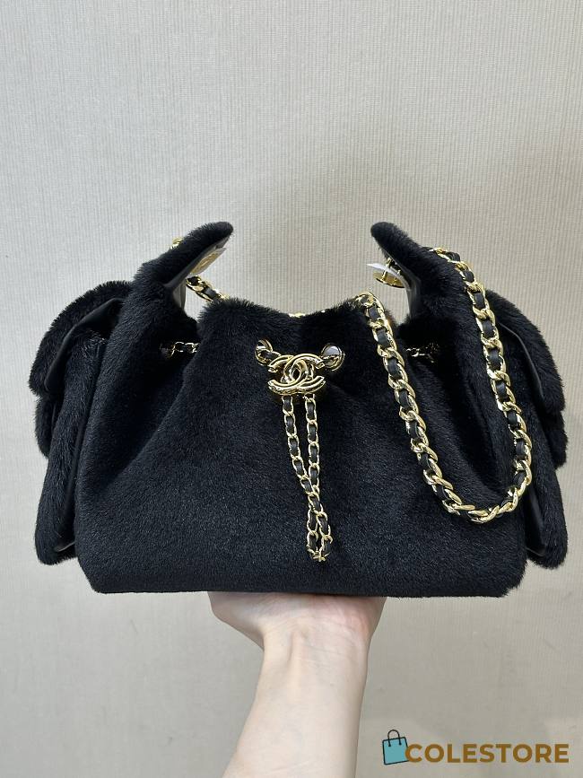 Colestore Métiers d’art 2026   Chanel 25 Mini Handbag   Lambskin & Gold-Tone Metal  Black  20 x 22 x 12.5cm - 1