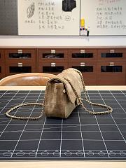 Colestore Chanel FALL WINTER 2026 PRE-COLLECTION MINI FLAP BAG Suede Calfskin & Gold-Tone Metal  Dark Beige 13x20x6cm - 4
