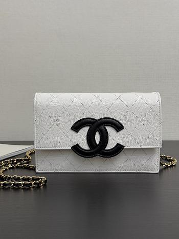 Colestore Chanel Fall Winter 2026 Pre-Collection   Wallet on Chain   Shiny Grained Calfskin, Lambskin & Gold-Tone Metal  White & Black 12 x 19 x 3.5cm