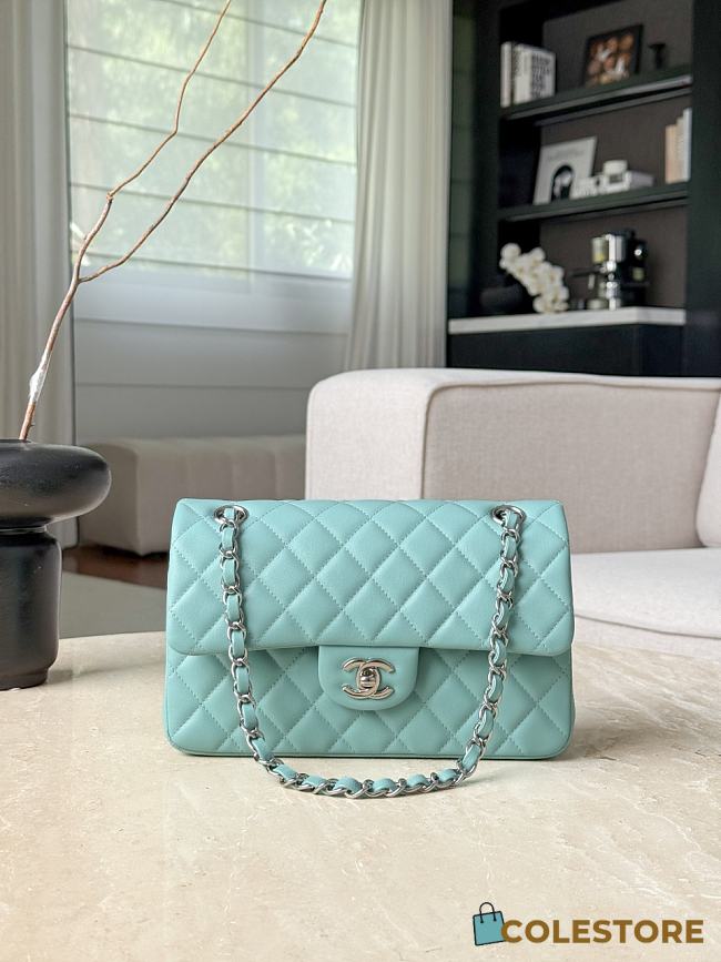 Colestore Chanel Classic Handbag Quilted Lambskin & Silver-Tone Metal Light Turquoise 14.5 x 23 x 6 cm - 1