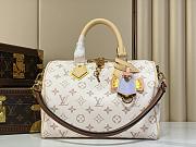 Colestore Louis Vuitton  LV Crafty Speedy Bandoulière 25 Monogram Dune 26 x 19 x 15 cm - 1