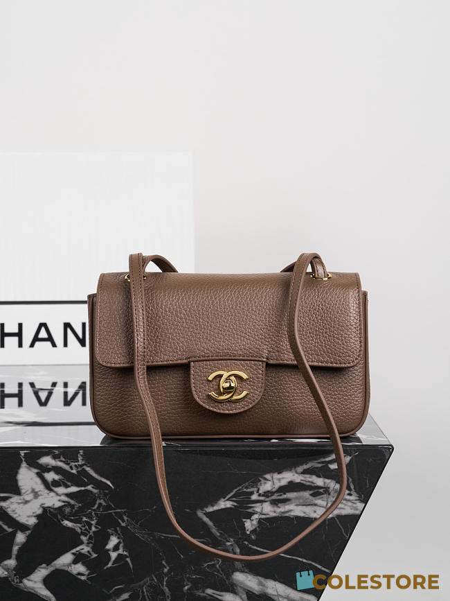Colestore Chanel FALL WINTER 2026 PRE-COLLECTION MINI FLAP BAG Grained Calfskin & Gold-Tone Metal Brown 13 x 20 x 6cm - 1
