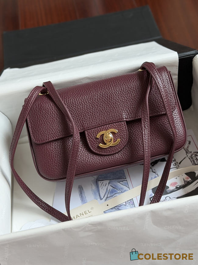 	 Colestore Chanel FALL WINTER 2026 PRE-COLLECTION MINI FLAP BAG Grained Calfskin & Gold-Tone Metal Burgundy 13 x 20 x 6cm - 1