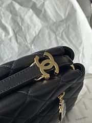 Colestore Chanel Métiers d’art 2026   Small Hobo Bag   Lambskin & Gold-Tone Metal  Black  18 x 29 x 8cm - 4