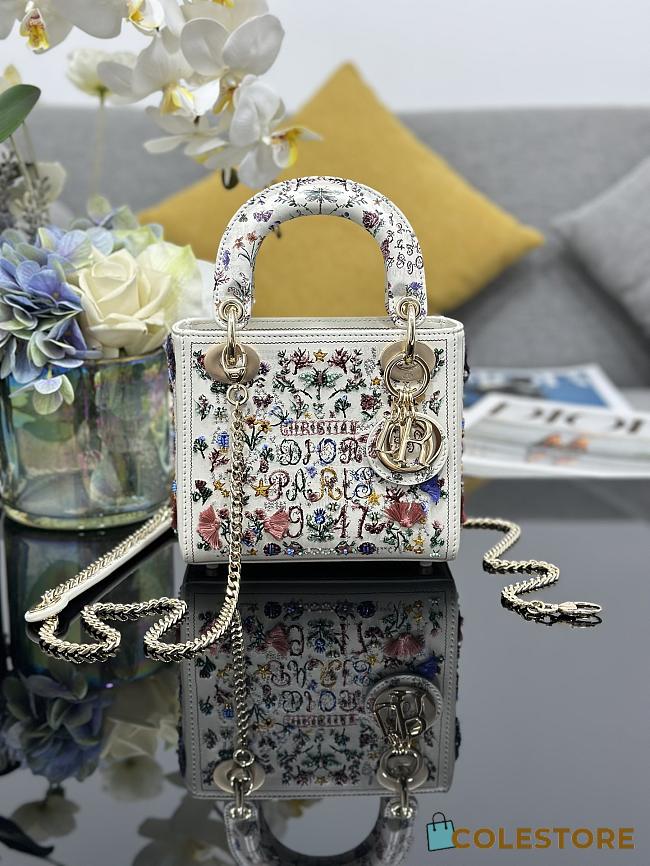 Colestore Dior Lady Dior Mini Bag Multicolor Dior Jardin d'Hiver Embroidery 17 x 15 x 7 cm - 1