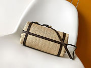 Colestore  Louis Vuitton Express PM Raffia-effect textile 17 x 13.5 x 26 cm - 5