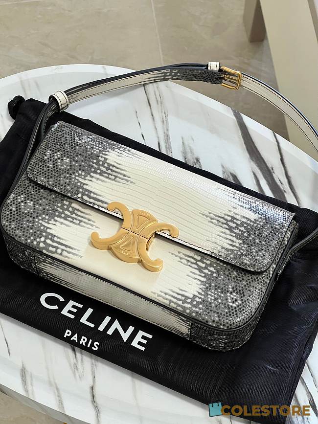 Colestore Celine Claude Chain Shoulder Bag in Lizard Natural 20 x 10 x 4 cm - 1