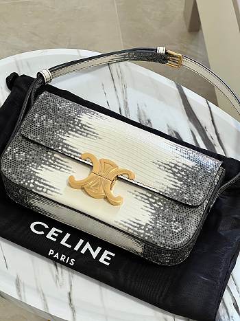 Colestore Celine Claude Chain Shoulder Bag in Lizard Natural 20 x 10 x 4 cm
