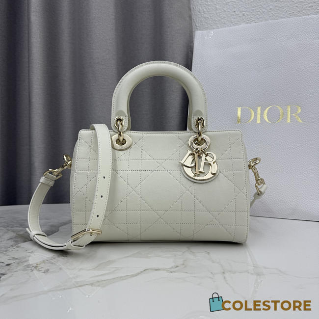 Colestore Dior Small Dior Granville Bag Latte Flat Macrocannage Calfskin 25 x 16.5 x 14.5cm - 1