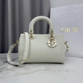 Colestore Dior Small Dior Granville Bag Latte Flat Macrocannage Calfskin 25 x 16.5 x 14.5cm