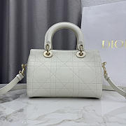 Colestore Dior Small Dior Granville Bag Latte Flat Macrocannage Calfskin 25 x 16.5 x 14.5cm - 5