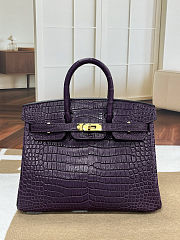 Colestore Hermes Birkin 30 Matte Alligator Mississippiensis Gold Hardware Aubergine  - 1