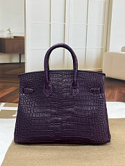 Colestore Hermes Birkin 30 Matte Alligator Mississippiensis Gold Hardware Aubergine  - 5