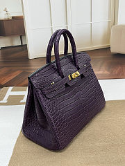 Colestore Hermes Birkin 30 Matte Alligator Mississippiensis Gold Hardware Aubergine  - 4
