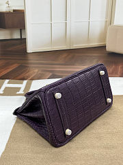 Colestore Hermes Birkin 30 Matte Alligator Mississippiensis Gold Hardware Aubergine  - 2