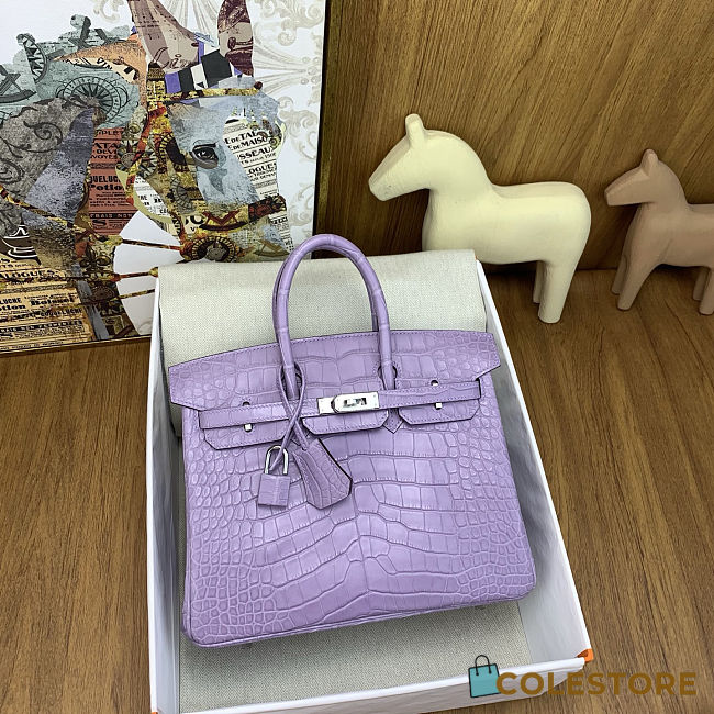 Colestore Hermes Birkin 25 Matte Alligator Mississippiensis Mauve/Lavender Palladium Hardware - 1