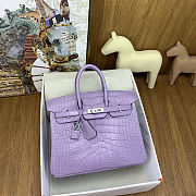 Colestore Hermes Birkin 25 Matte Alligator Mississippiensis Mauve/Lavender Palladium Hardware - 1