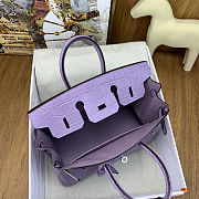 Colestore Hermes Birkin 25 Matte Alligator Mississippiensis Mauve/Lavender Palladium Hardware - 2