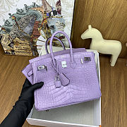 Colestore Hermes Birkin 25 Matte Alligator Mississippiensis Mauve/Lavender Palladium Hardware - 4