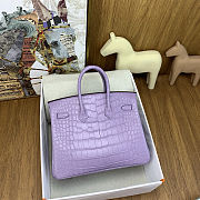 Colestore Hermes Birkin 25 Matte Alligator Mississippiensis Mauve/Lavender Palladium Hardware - 5