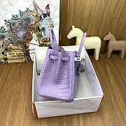 Colestore Hermes Birkin 25 Matte Alligator Mississippiensis Mauve/Lavender Palladium Hardware - 6