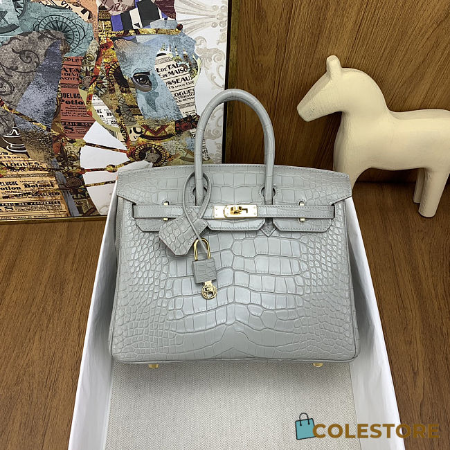Colestore Hermes Birkin 25 Matte Alligator Mississippiensis  80 Pearl Gary Gold Hardware - 1