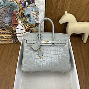 Colestore Hermes Birkin 25 Matte Alligator Mississippiensis  80 Pearl Gary Gold Hardware - 1