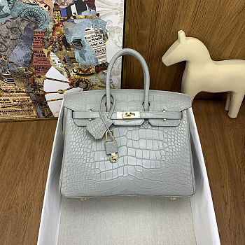 Colestore Hermes Birkin 25 Matte Alligator Mississippiensis  80 Pearl Gary Gold Hardware