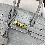 Colestore Hermes Birkin 25 Matte Alligator Mississippiensis  80 Pearl Gary Gold Hardware - 6
