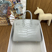 Colestore Hermes Birkin 25 Matte Alligator Mississippiensis  80 Pearl Gary Gold Hardware - 2