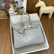 Colestore Hermes Birkin 25 Matte Alligator Mississippiensis  80 Pearl Gary Gold Hardware - 4