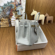 Colestore Hermes Birkin 25 Matte Alligator Mississippiensis  80 Pearl Gary Gold Hardware - 3