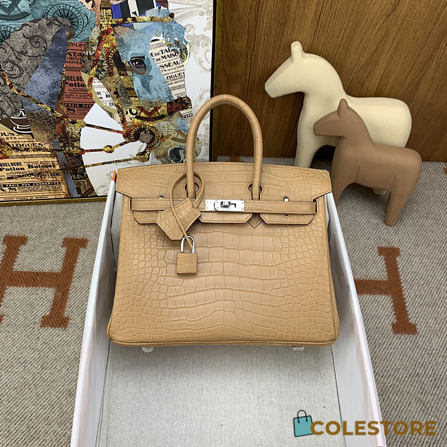 	 Colestore Hermes Birkin 25 Matte Alligator Mississippiensis Poussiere Palladium Hardware - 1